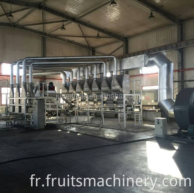 Walnut Kernel Oil Processing Machine Oil Press Machine